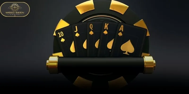 Baccarat Guide For Beginners Mastering Every Table Rule