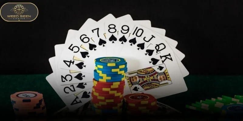 Compare Best paying casino games through RTP