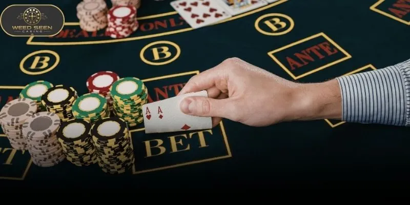 Do You Want To Learn How To Play Baccarat Guide 2026