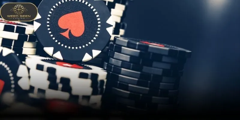 Online Casino License Guide For Weed Seen Casino 2026