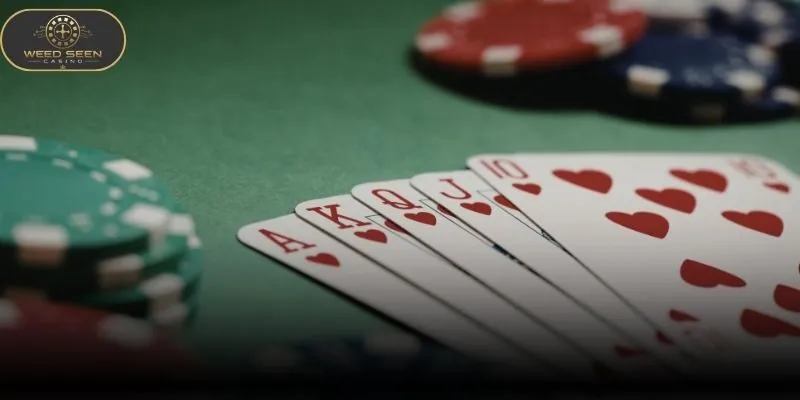 Online poker guide for beginners at smart table basics