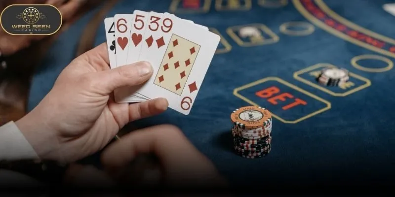 Read the Baccarat guide before selecting a table
