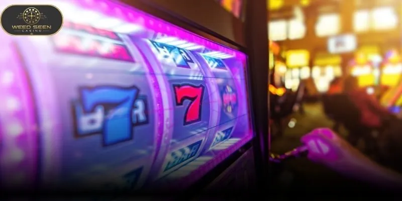 Slot Machines Guide To Reels And Bonus Features In 2026