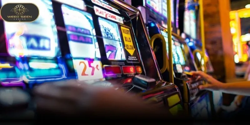Understand the system before choosing a stake